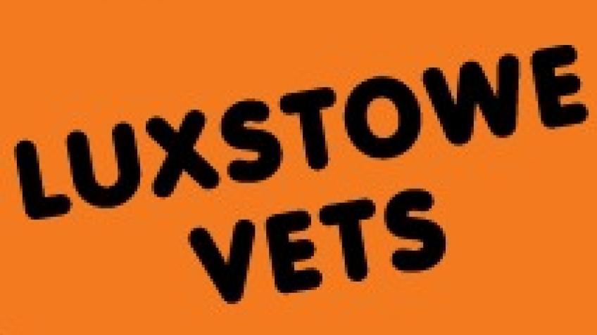 Help us raise vital funds for Prickles and Paws