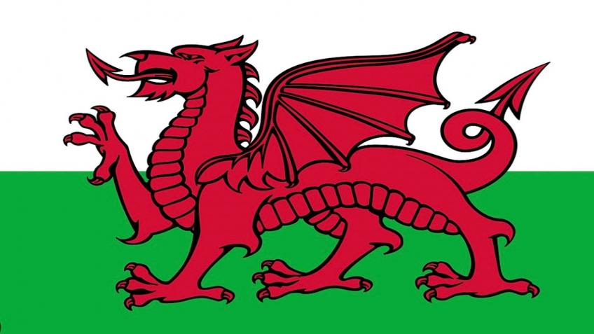 Team Wales - ISA World Para Surfing Championships
