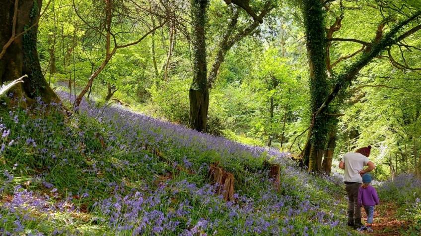 Woodland camping and charcoal workshop PRIZEDRAW!!