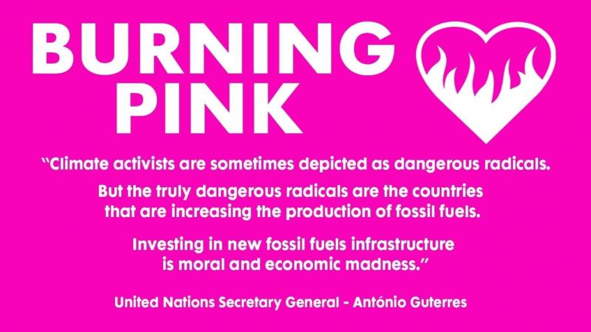 Legal costs for Burning Pink trial