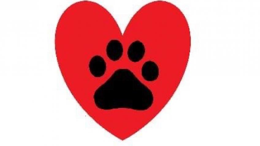 Connies dog rescue