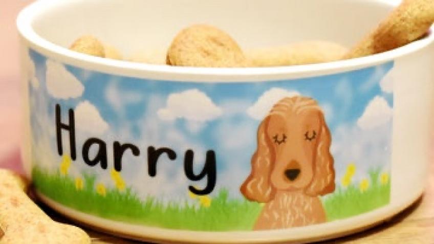 Harry needs a new dog bowl