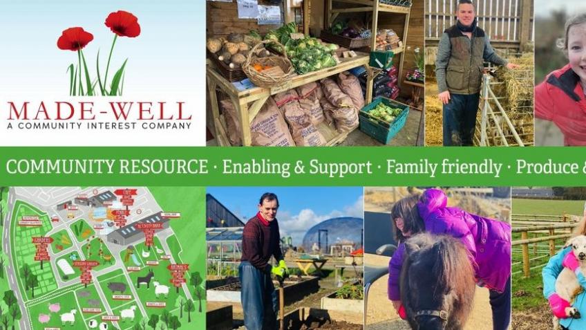 Made-Well Well-being Project