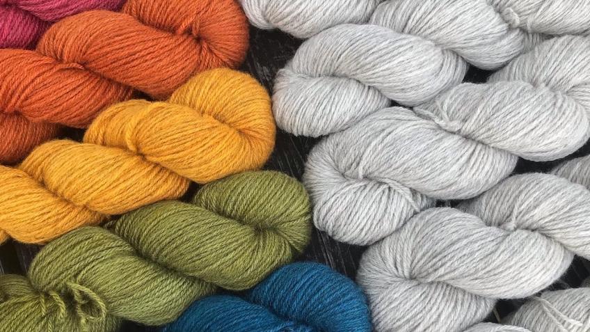 Help us spin our Single Flock Welsh Wool yarn!