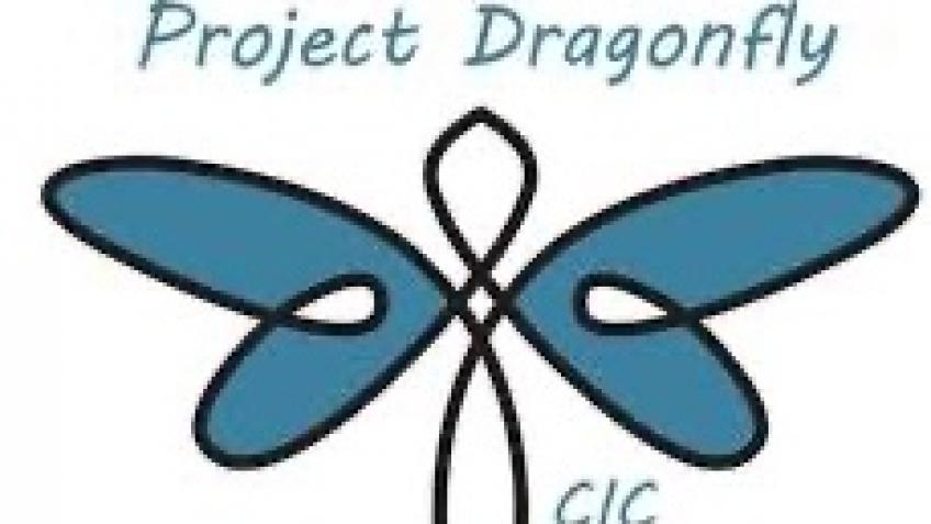 Project Dragonfly CIC