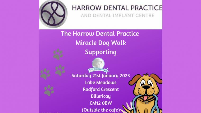 The Harrow Dental Practice Miracle Dog Walk