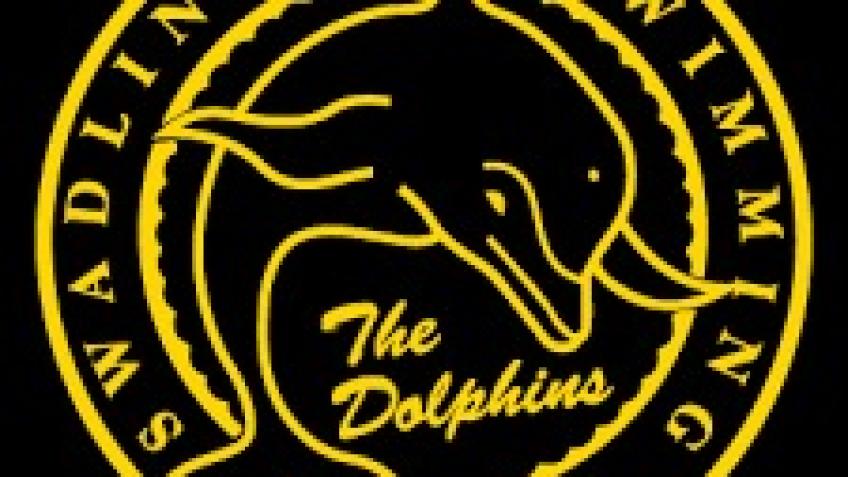 Save Swadlincote Dolphins Swimming Club