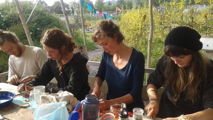 Herbalists Without Borders, Bristol