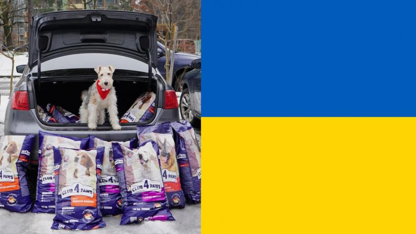 Ukraine Dog Shelter Fundraiser