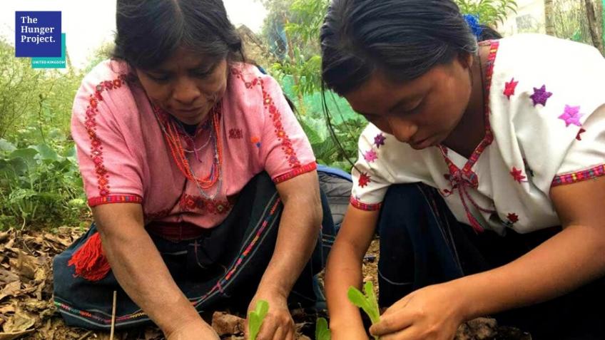 Help us mobilise indigenous women in Mexico