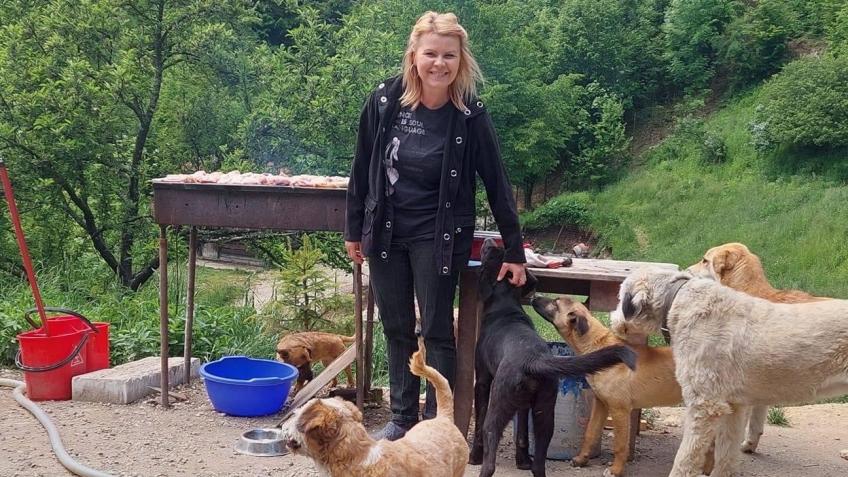 Alina’s Shelter Fundraiser