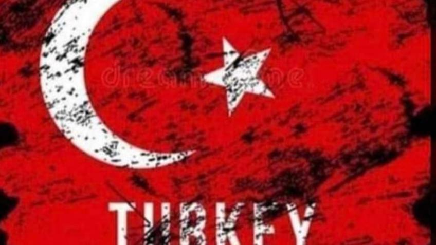 Survivors of the earthquakes in Turkey