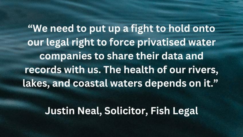 Protect public right to environmental information
