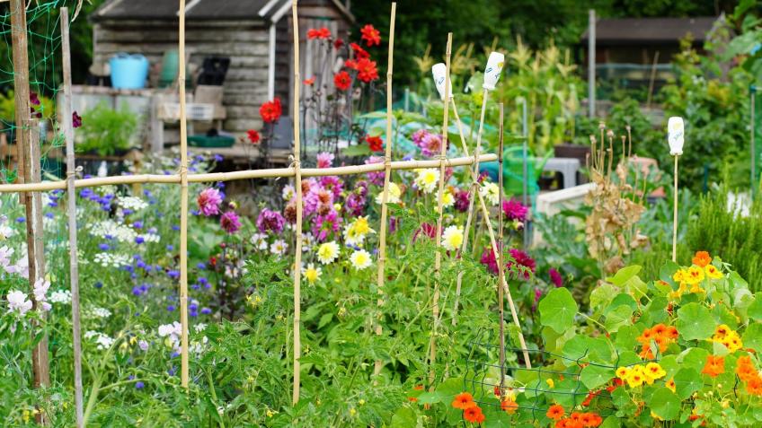 Greenwood Park Community Garden