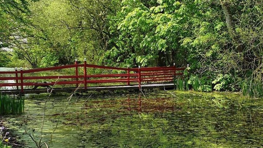 Friends of Town Tree CIC Start Up Funds