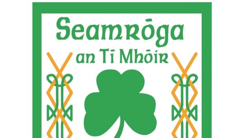 Teemore Shamrocks "Level the Playing Field"