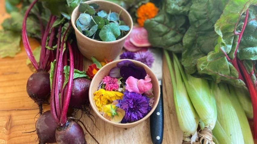 Almanac Cafe - One with Nature