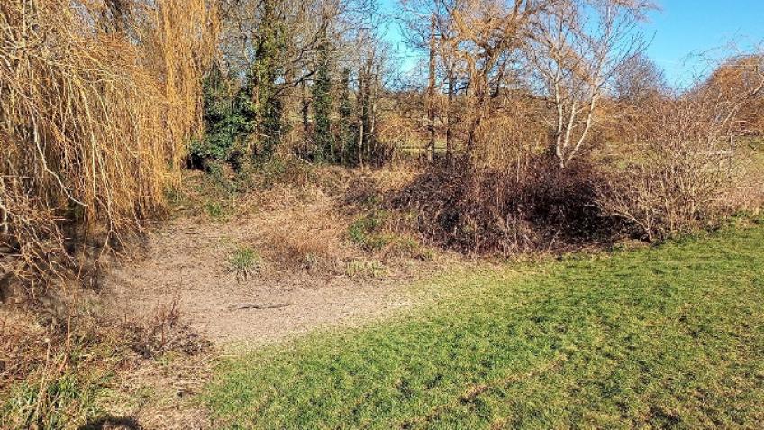 Nepcote Green pond restoration