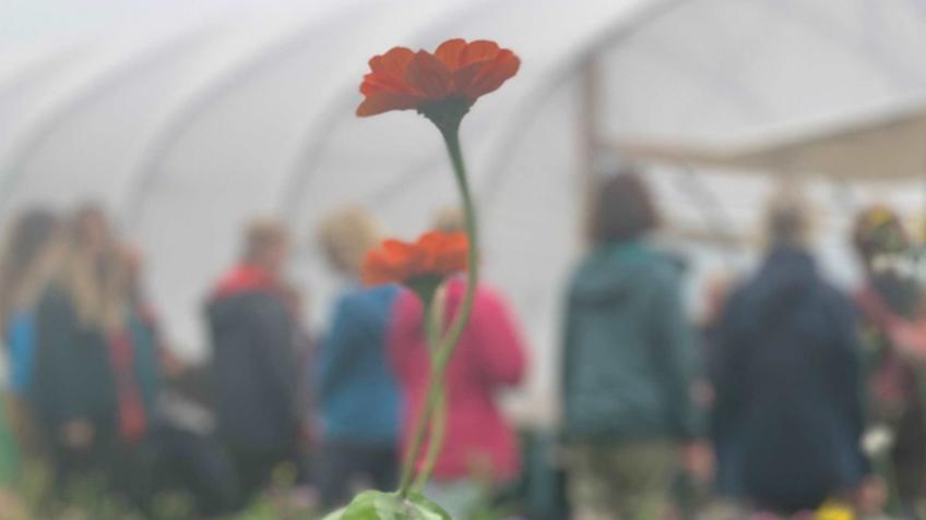 Fund a year's study for a refugee or migrant