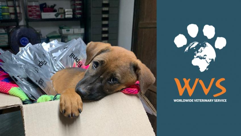 Send a life-saving parcel to an animal in need