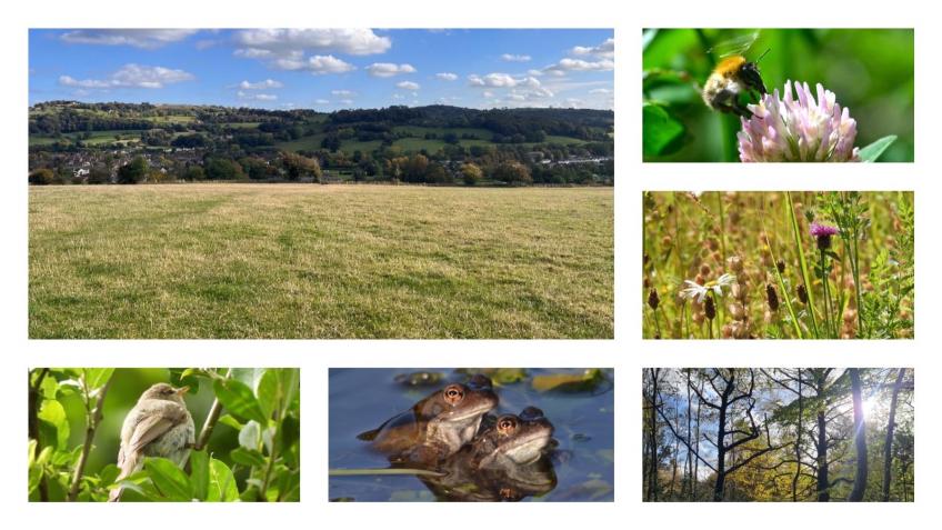 Wirksworth Community Wildlife Space