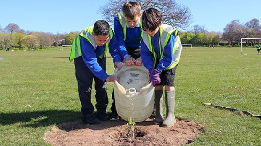 TreeAction -Watering solutions for our young trees