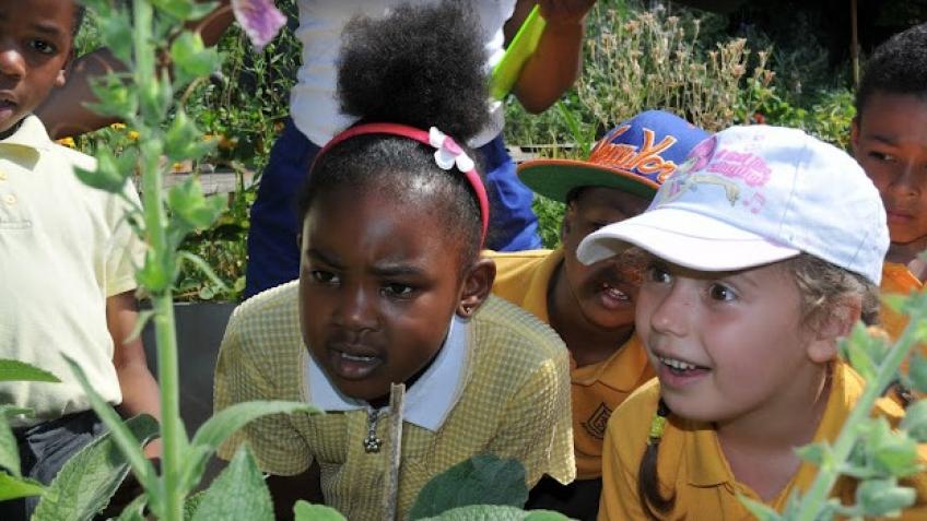 Help us deliver transformational nature connection