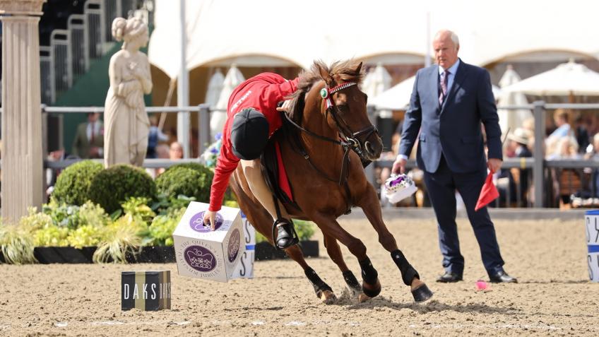 British Pony Club World Championships