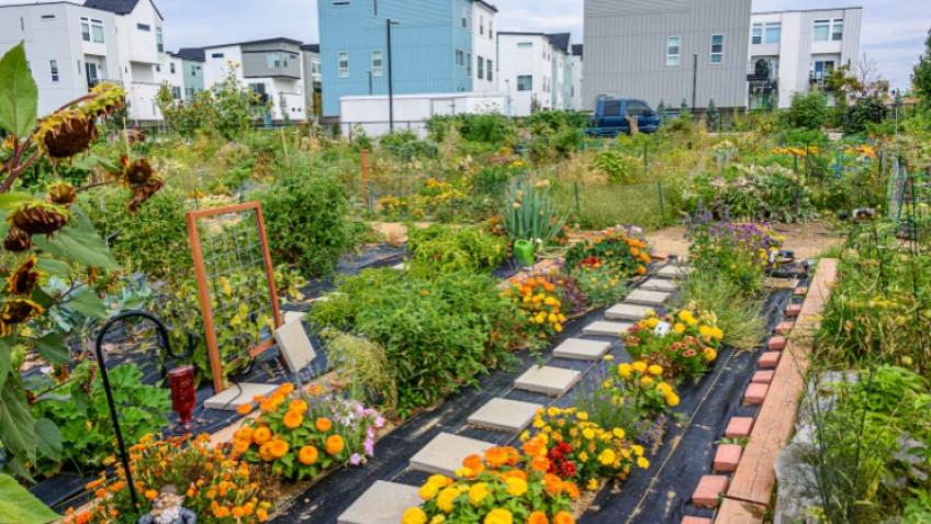A new community green space