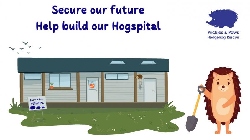 Help the Hogspital Break Ground
