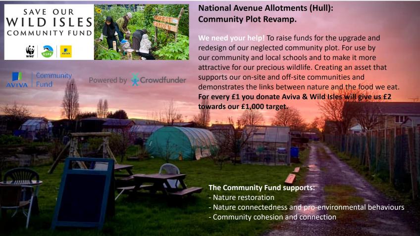 National Avenue Allotments: Community Plot Revamp
