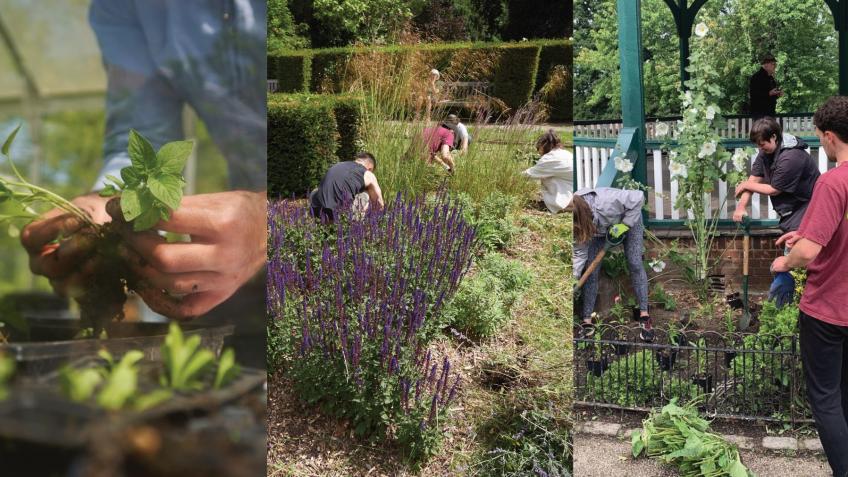 Gardening for all in Ruskin Park