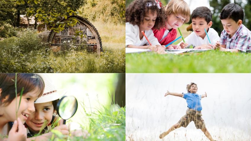 Outdoor learning "Wilderness" at Whitehall Primary