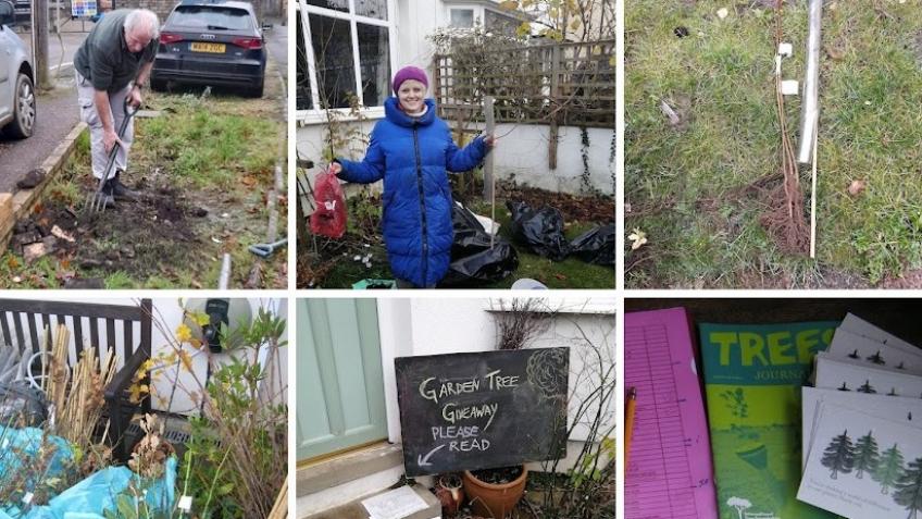 Oxfordshire Garden Tree Giveaway 2023