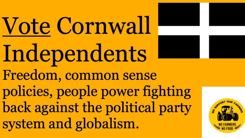 Vote Cornwall Independent 2024 General election