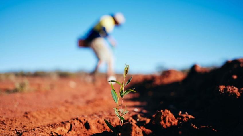 Community Green spaces, gardening and planting