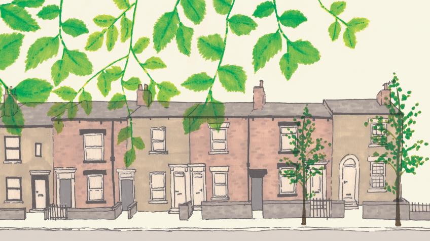 Greening the Grey Streets