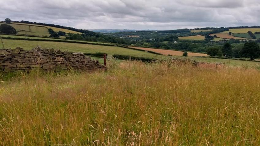 Pooh Corner Wildlife and Sustainability Project