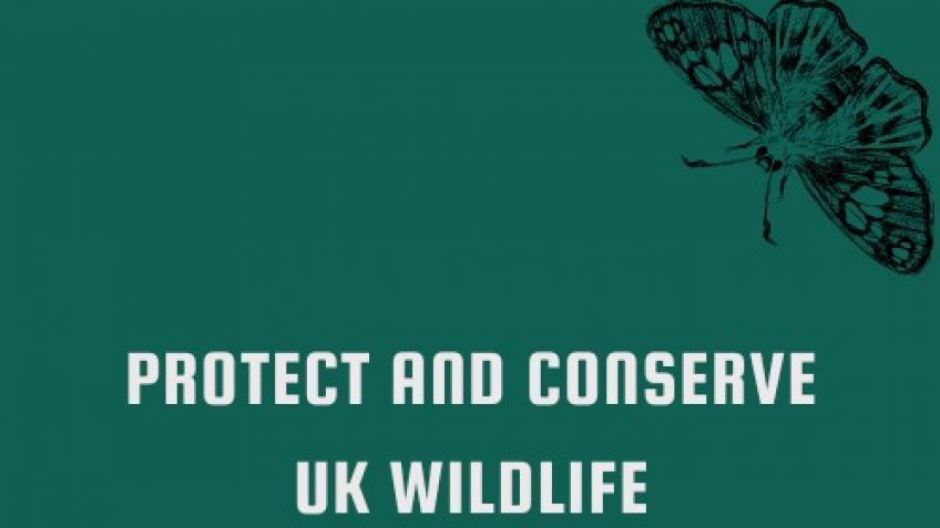 Protect and conserve UK wildlife