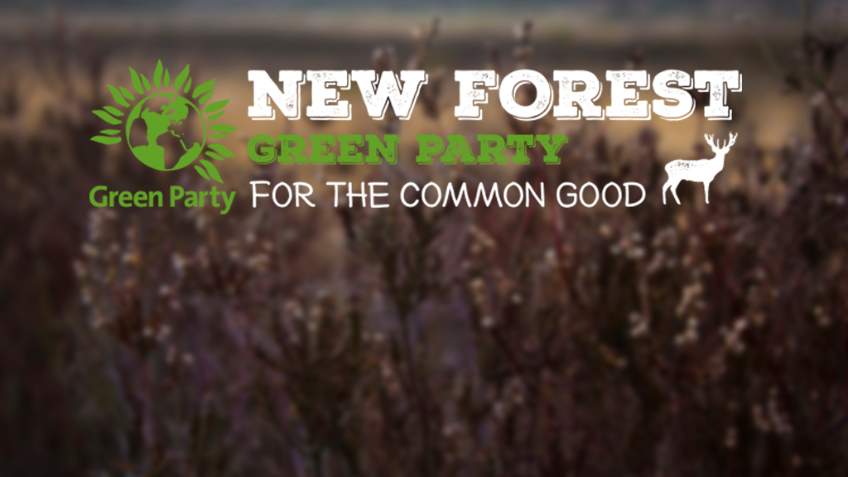 New Forest Greens - Election Campaign Funding