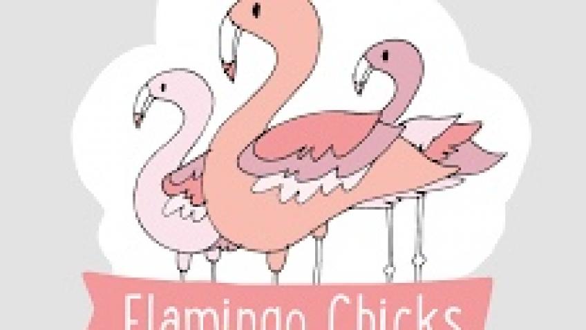 Flamingo Chicks May 100 - Walking 100km
