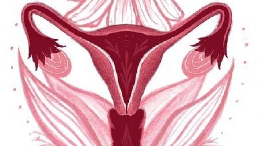 Support me in becoming a womb healing practitioner