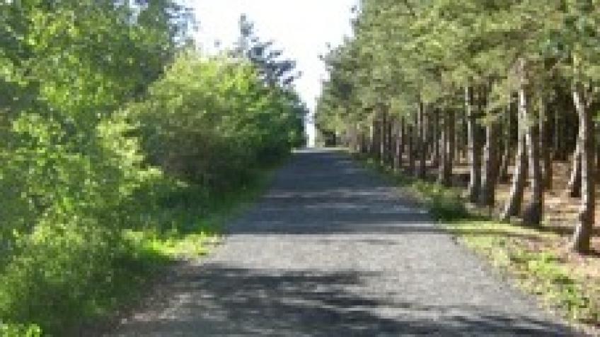 Development of Community Woodland
