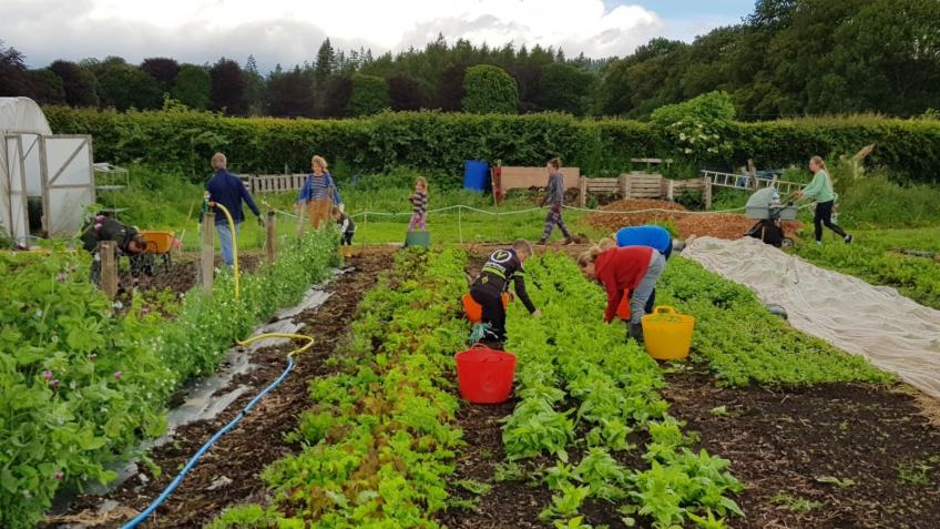 Help us grow more local organic food