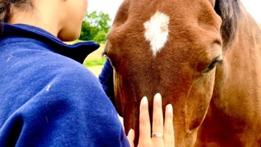 Support an Equine Assisted Therapy new business