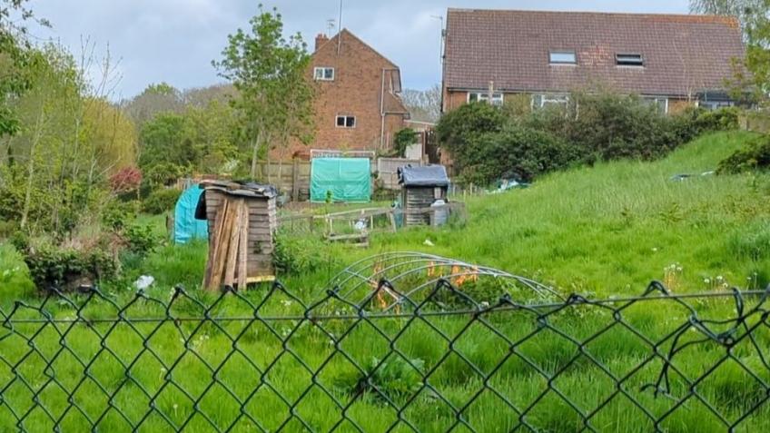 The Collective Community Garden