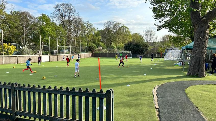 SAVE OUR ASTRO PITCH! CROWDFUNDER