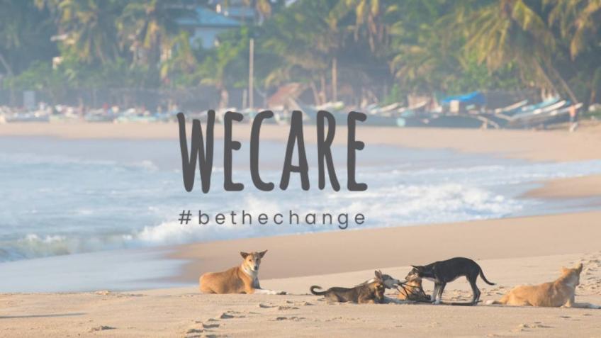 WECare Pet Food - Helping dogs worldwide