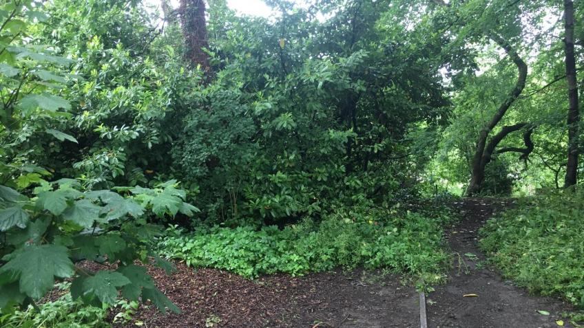 Belper Community Land Trust