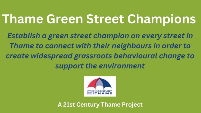 Establishing Green Street Champions in Thame